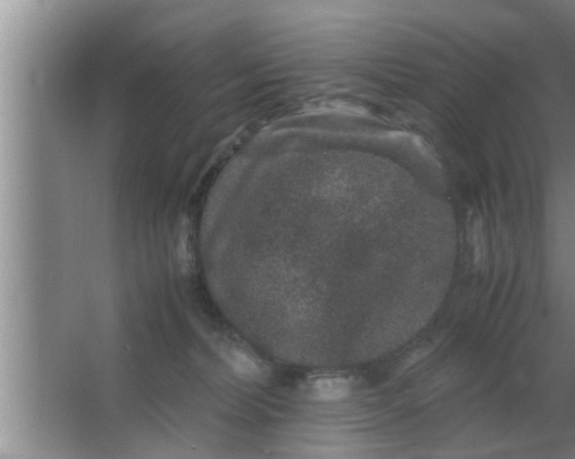 X0000063500228200602032026