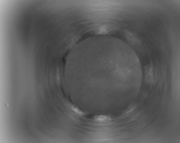 X0000063500230200602032026