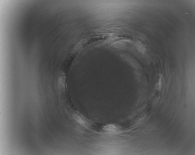 X0000063500231200602032026