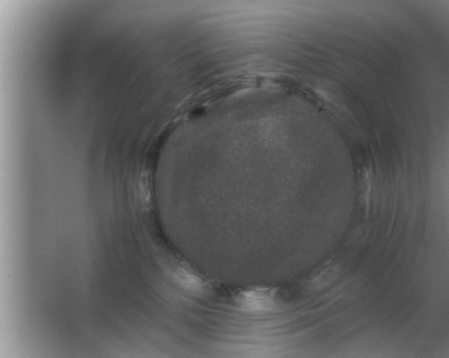 X0000063500232200602032026