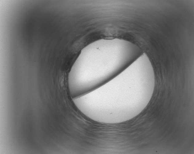 X0000063500233200602032025