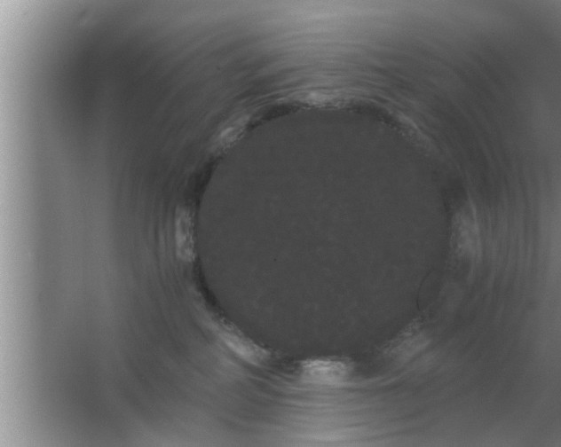 X0000063500234200602032025