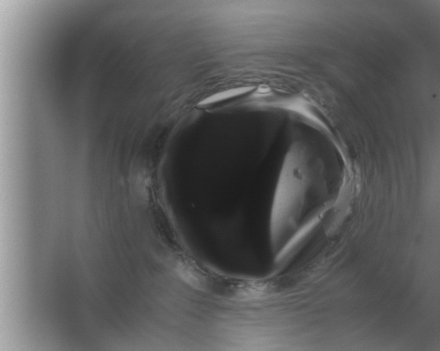 X0000063500235200602032025