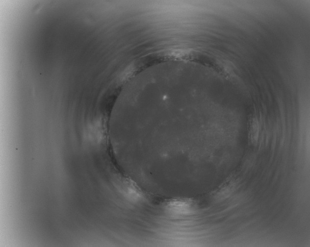 X0000063500236200602032025