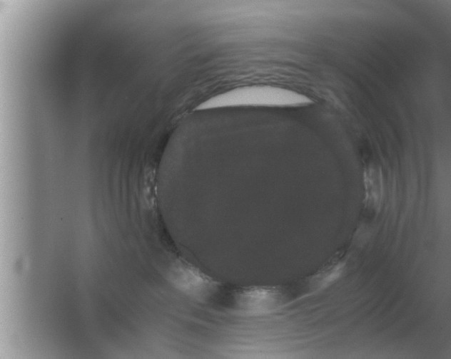 X0000063500237200602032025