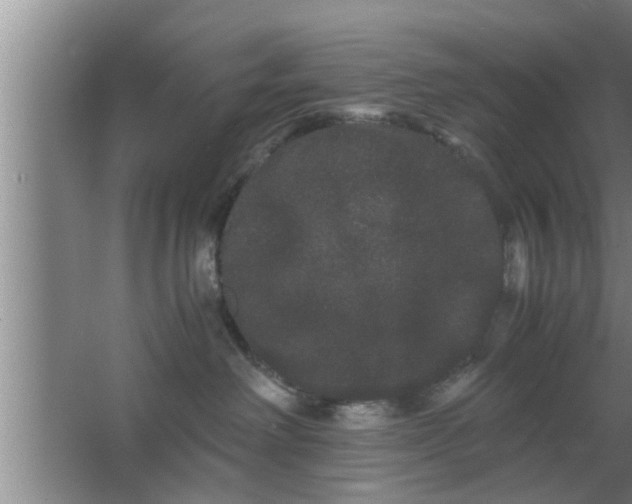 X0000063500238200602032025