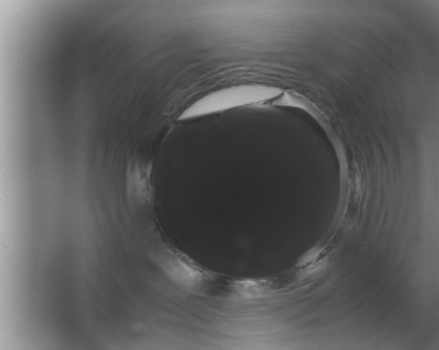 X0000063500239200602032025