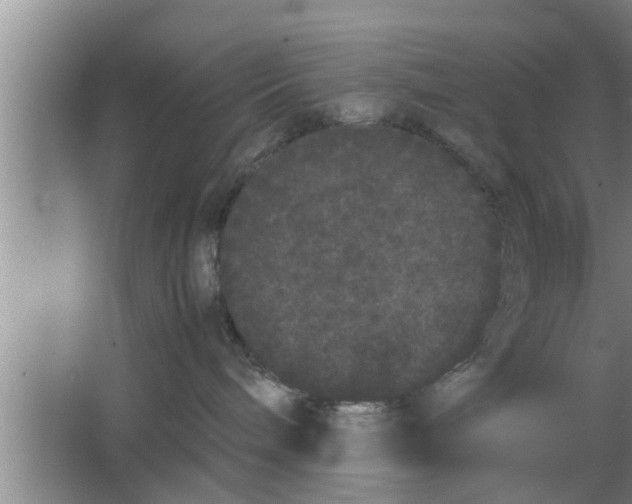 X0000063500240200602032025