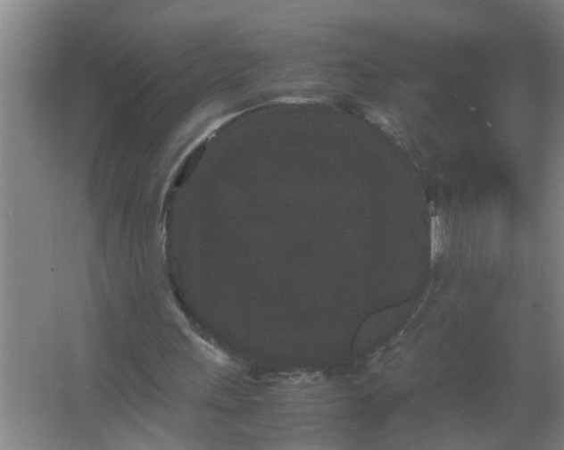 X0000063500243200602032025