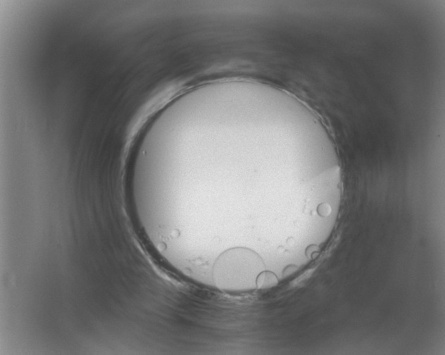 X0000063500245200602032025