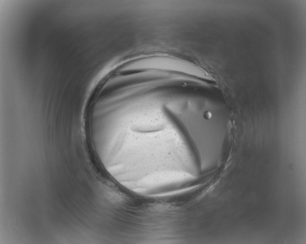 X0000063500246200602032025