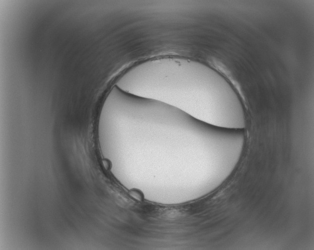 X0000063500249200602032025