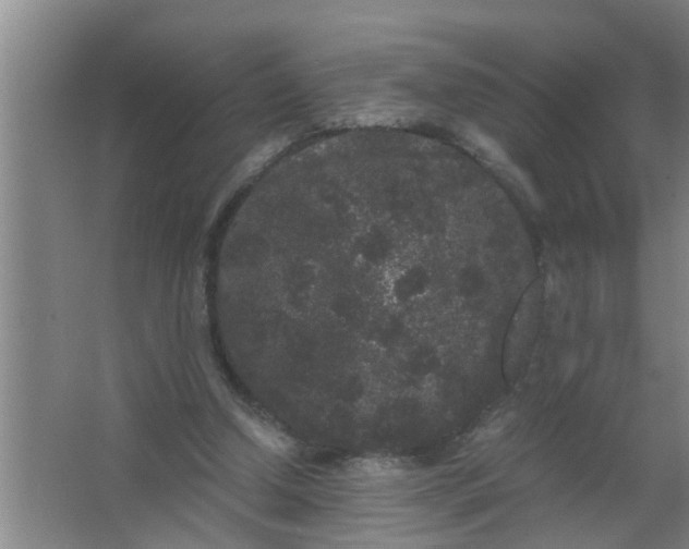 X0000063500250200602032025