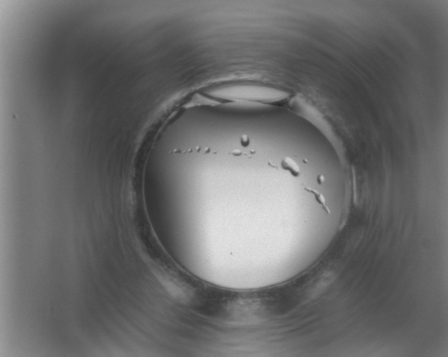 X0000063500252200602032025