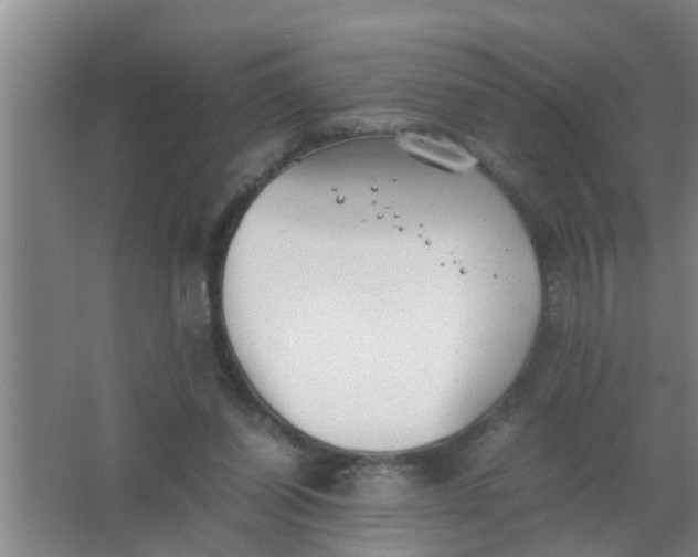 X0000063500254200602032025