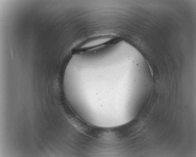 X0000063500256200602032025