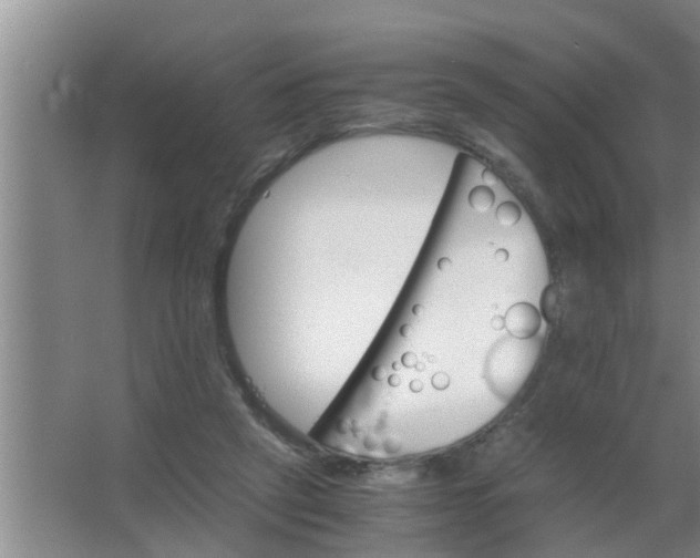 X0000063500257200602032025