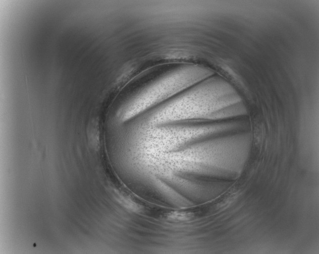 X0000063500261200602032025