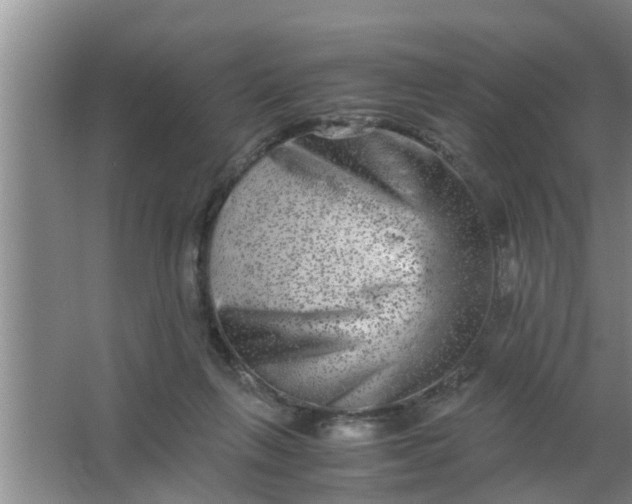 X0000063500263200602032025