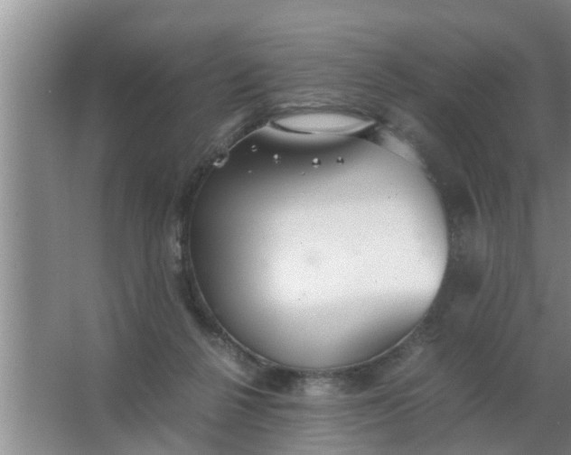 X0000063500264200602032025