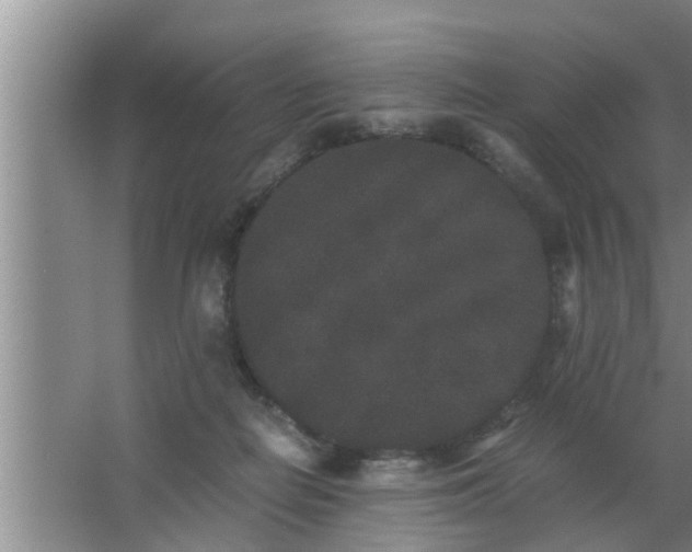 X0000063500266200602032025