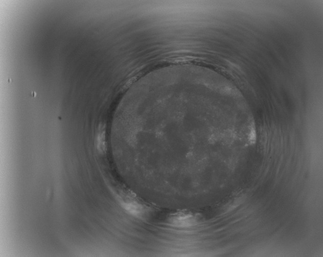 X0000063500267200602032025