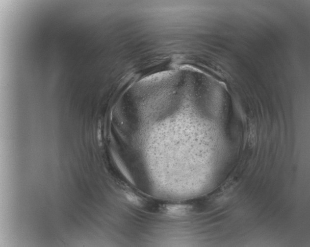 X0000063500268200602032025