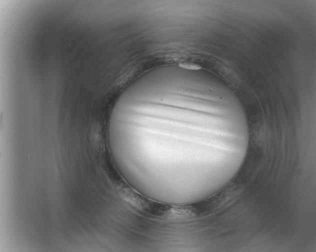 X0000063500270200602032025