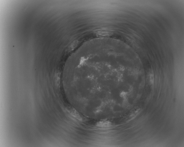 X0000063500271200602032025