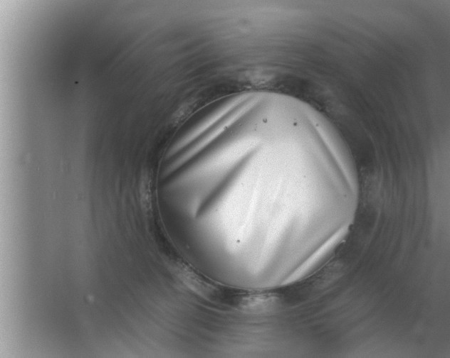 X0000063500274200602032025