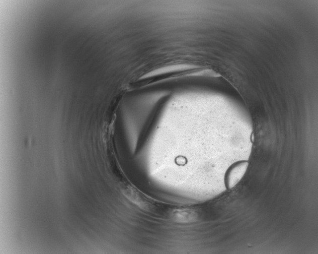 X0000063500275200602032025