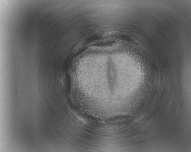 X0000063500276200602032025