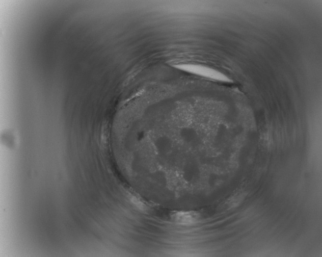 X0000063500277200602032025