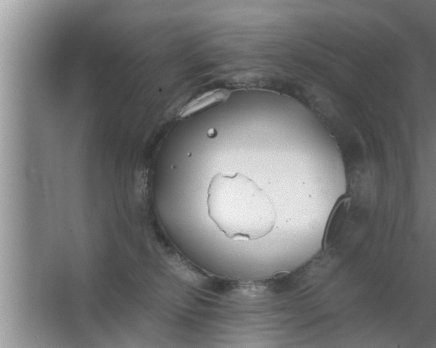 X0000063500278200602032025