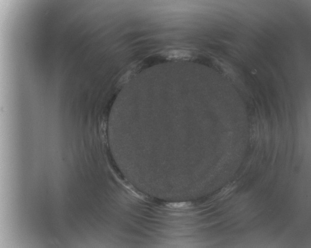 X0000063500281200602032025