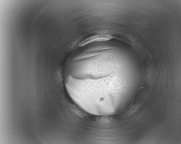 X0000063500282200602032025