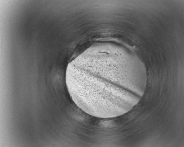 X0000063500283200602032025