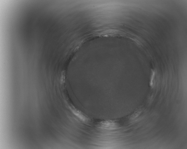 X0000063500284200602032025