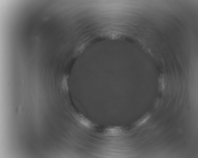 X0000063500286200602032025