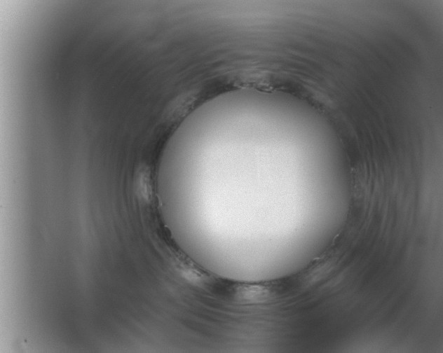 X0000063500287200602032025