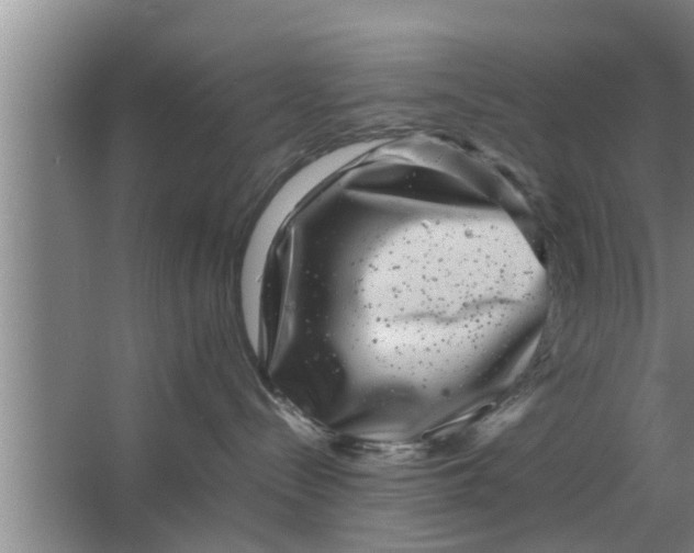 X0000063500288200602032025