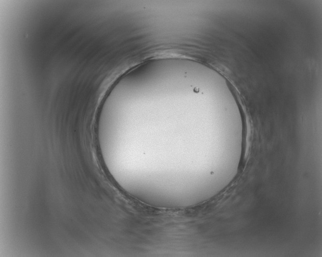 X0000063500289200602032025