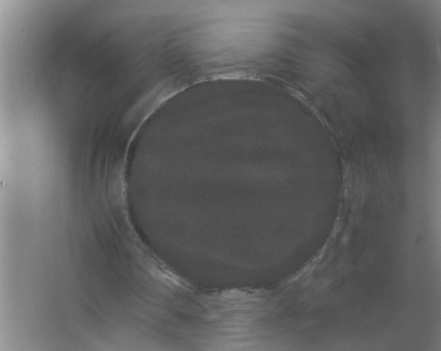 X0000063500290200602032025