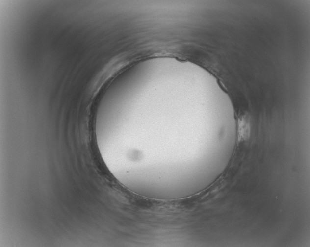 X0000063500291200602032025