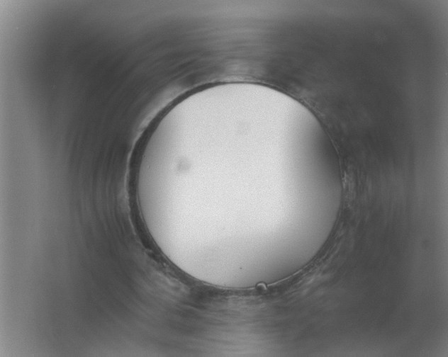 X0000063500292200602032024