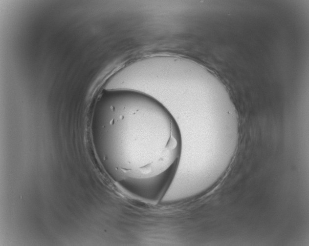 X0000063500293200602032024