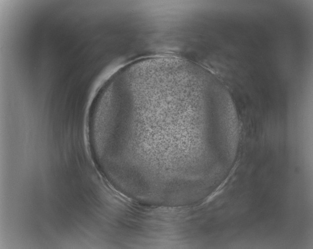 X0000063500294200602032024