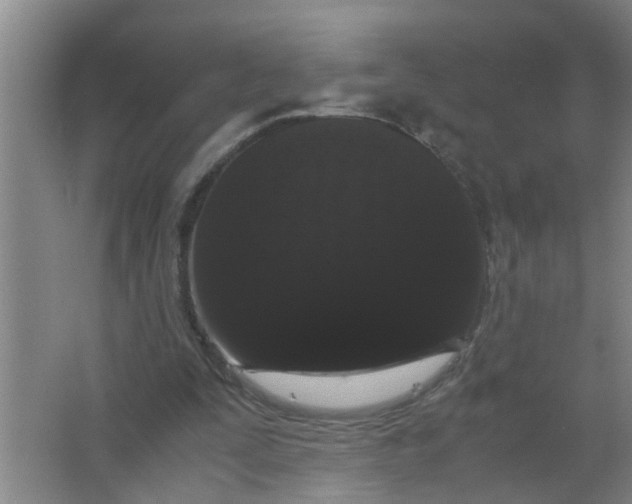 X0000063500295200602032024