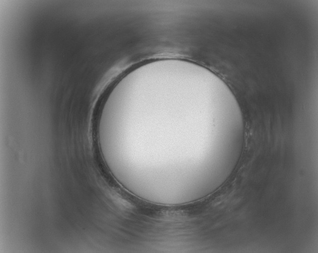 X0000063500296200602032024