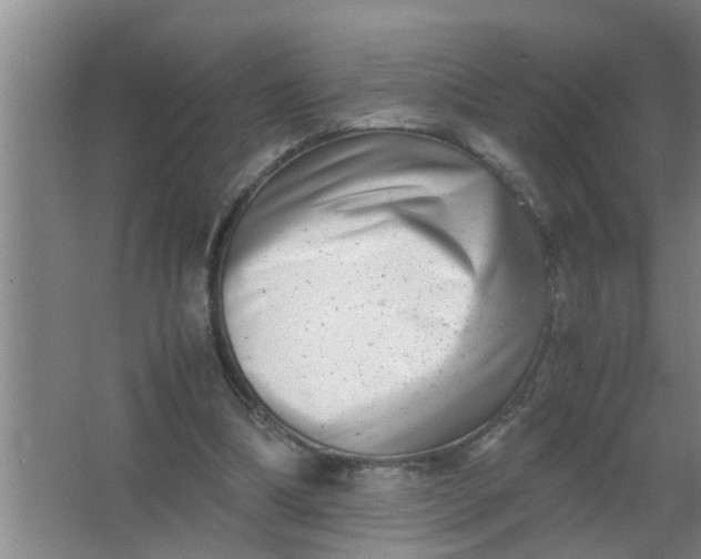 X0000063500298200602032024